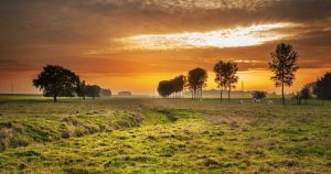 Why Your Kindergartener Still Can’t Read: 7 Red Flags Teachers Won’t Tell You