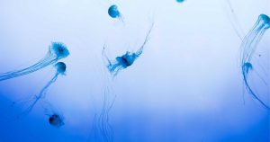 Dyslexia Screening in Public Schools: Navigating the New Requirements