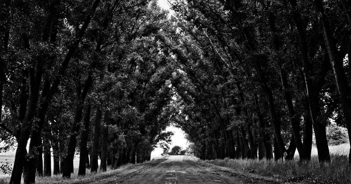 Featured: Scholarship Essays That Actually Win Money: 47 Real Examples From Students Who Earned $50K+