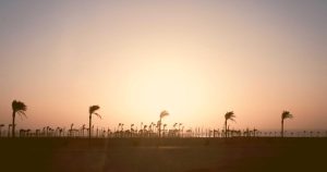 Dyslexia Screening Tools That Actually Work: 8 Free Assessments Schools Use (And 3 They Should)