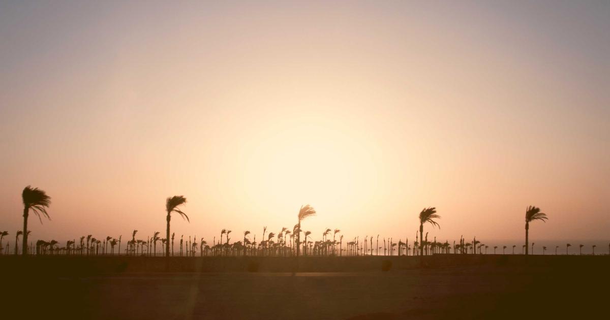 Featured: Dyslexia Screening Tools That Actually Work: 8 Free Assessments Schools Use (And 3 They Should)