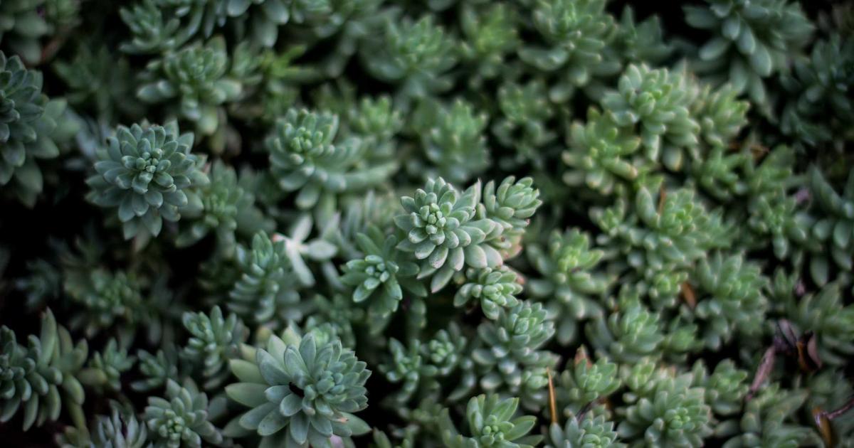 Featured: Microschooling Pods Cost $8,000-$15,000 Per Year: Real Families Share What Traditional Schools Can’t Offer