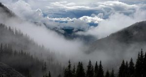 Why Most College Students Fail Their First Semester (And How to Beat the Odds)