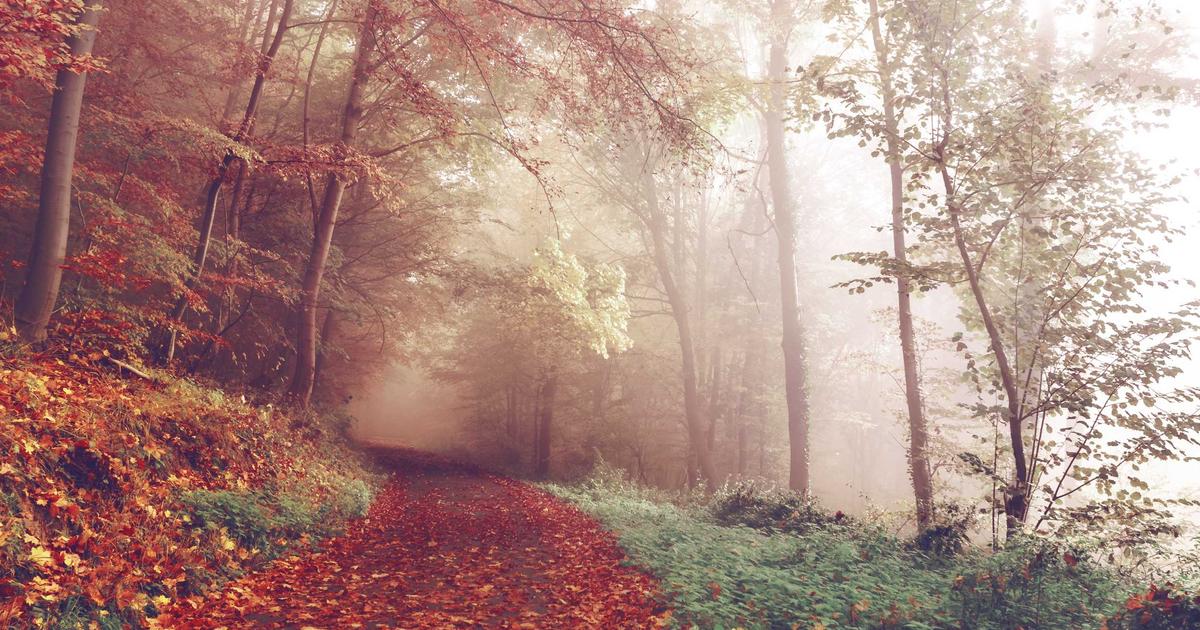 Featured: Scholarship Essay Readers Reveal What Actually Gets You Funded: 23 Insider Secrets From Application Reviewers